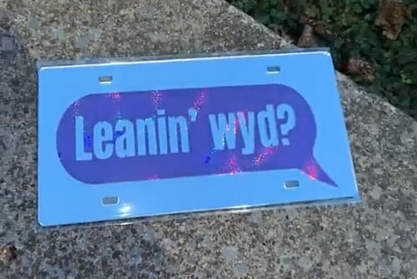"LEANIN' WYD" LICENSE PLATE image 0