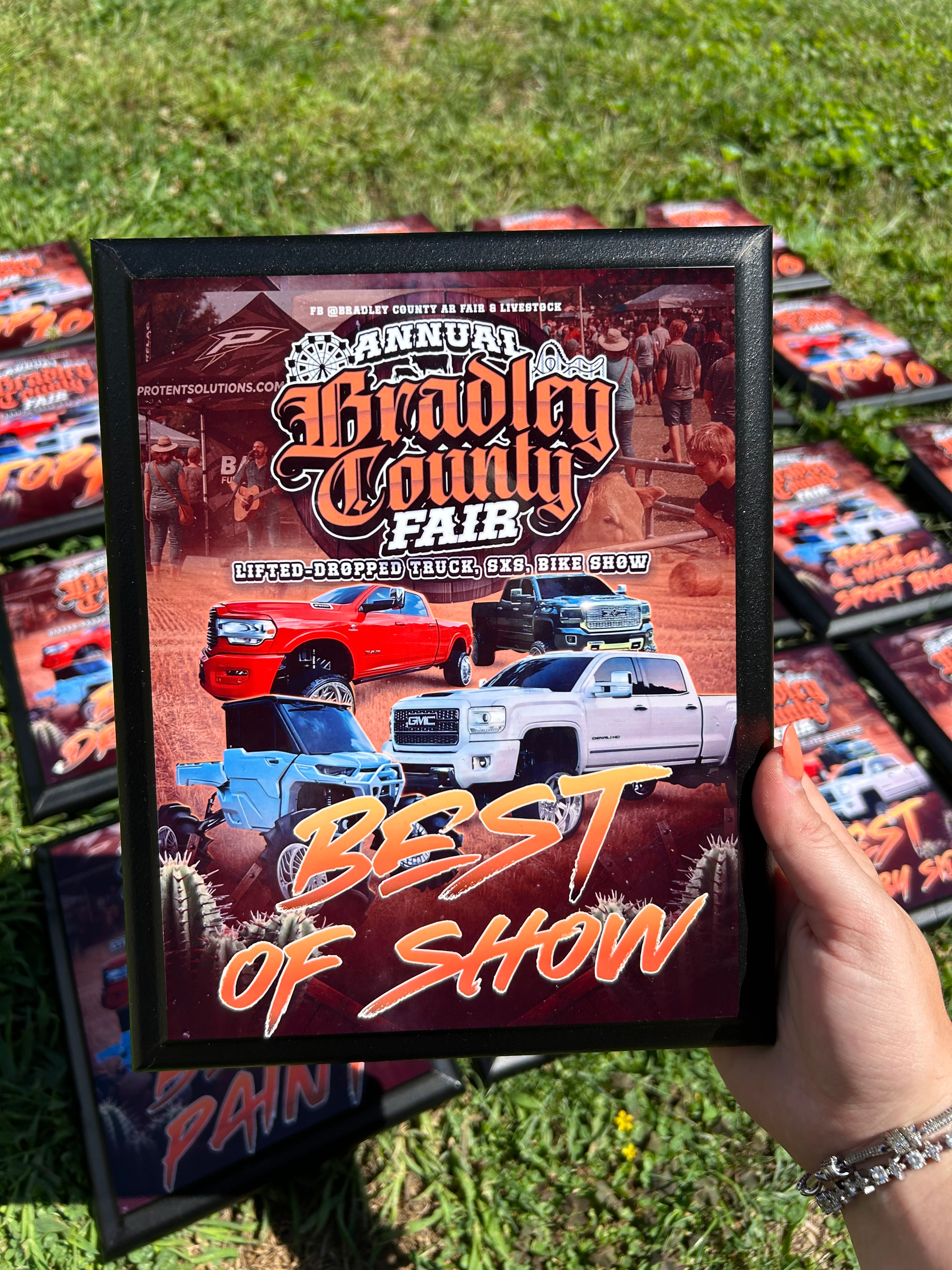 Custom Plaques (8x10 inches, Wood)