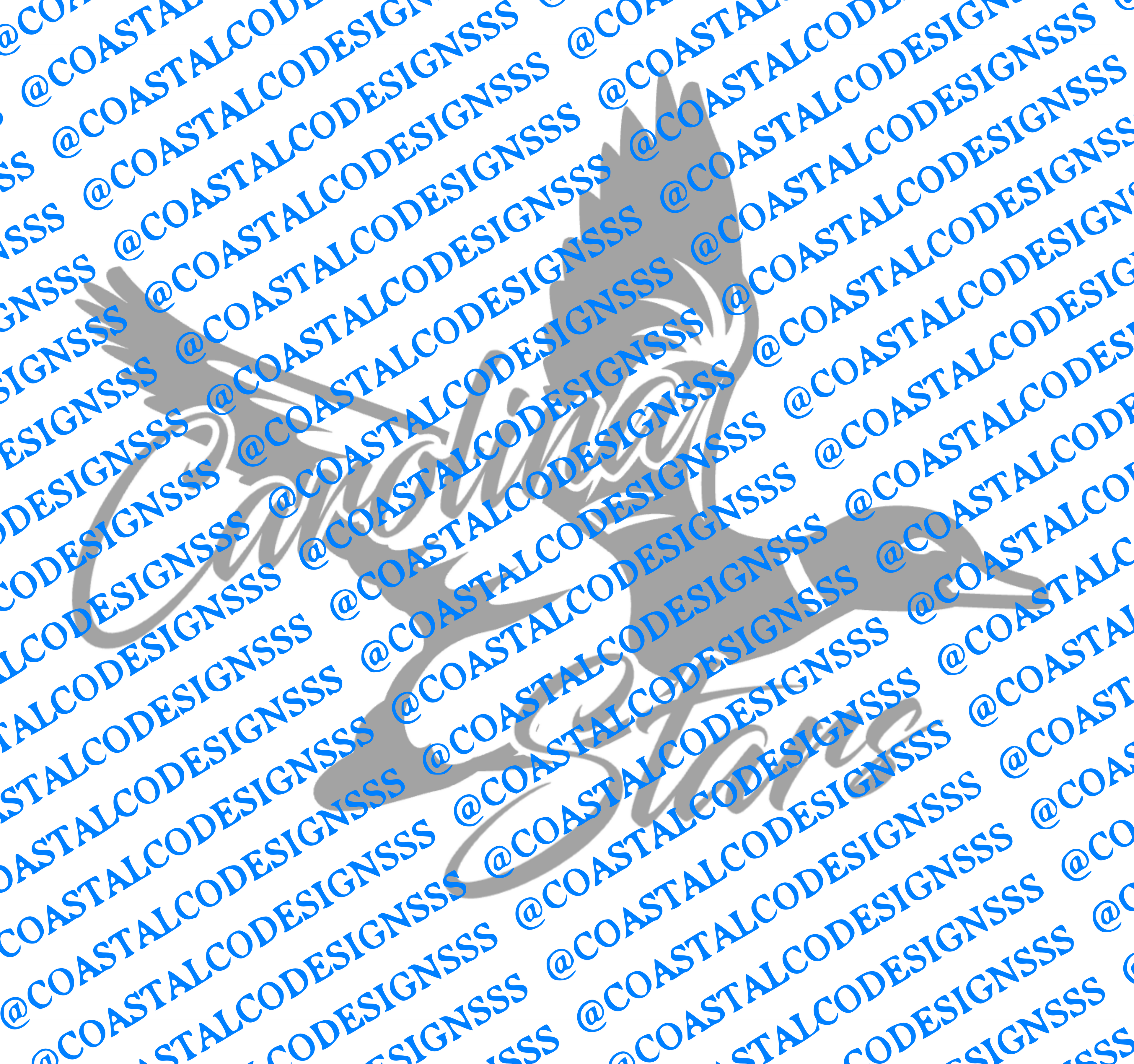 CAROLINA STARS DECAL DUCK