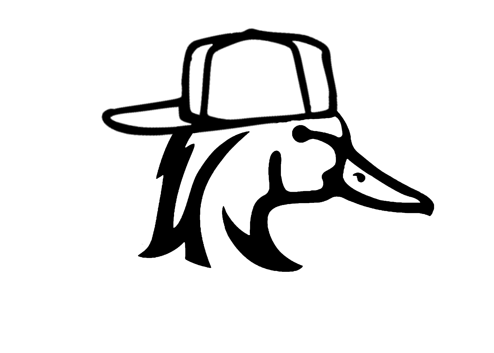 Wood Duck with hat decal image 0