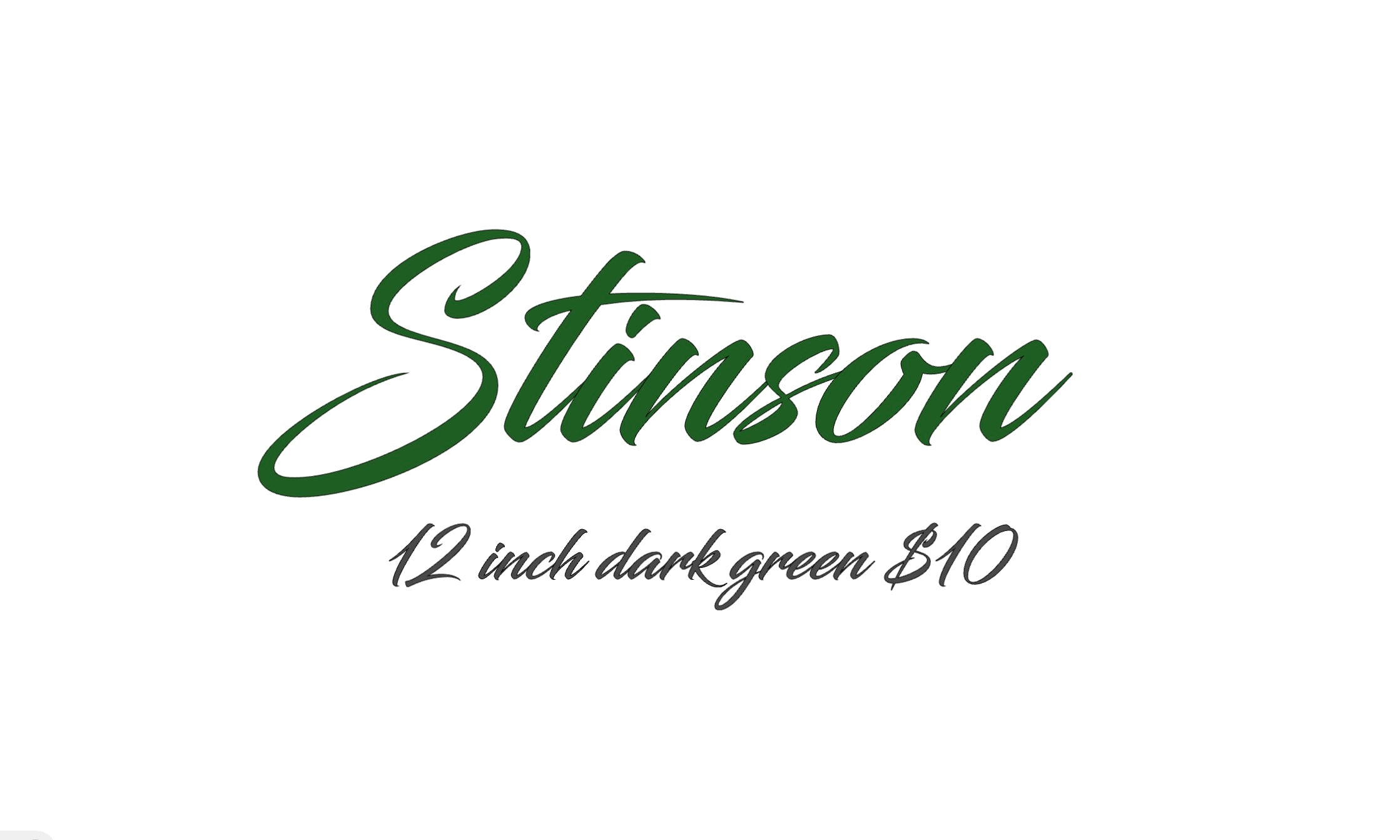 stinson custom image 0