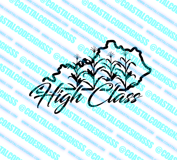 HIGH CLASS KENTUCKY DECAL image 0