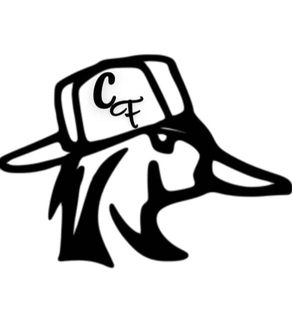 CAROLINA FINESSE DUCK DECAL image 0