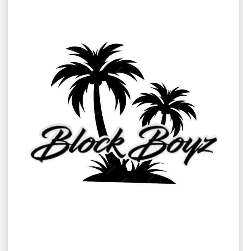 BLOCK BOYZ PALM DECAL image 0