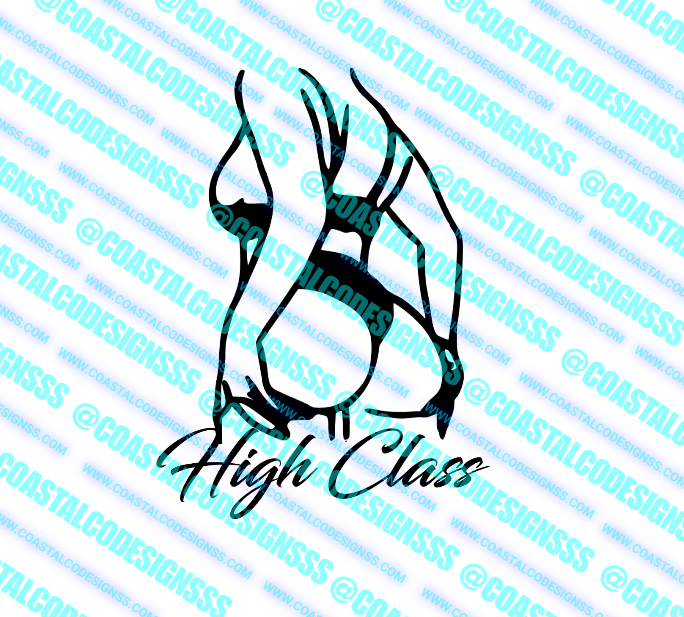 HIGH CLASS GIRL DECAL image 0