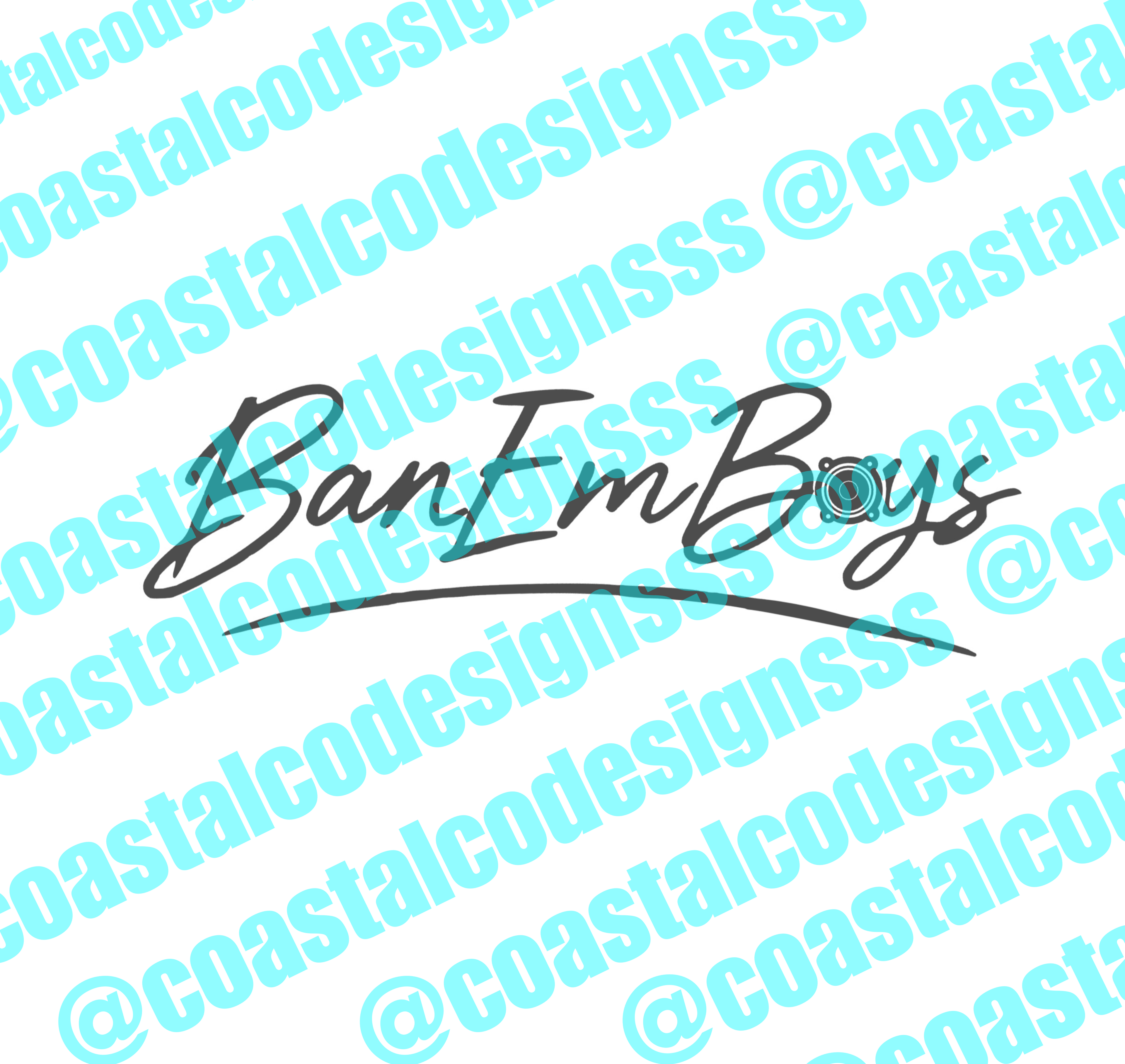BAN EM BOYS AUDIO BANNER DECAL 1