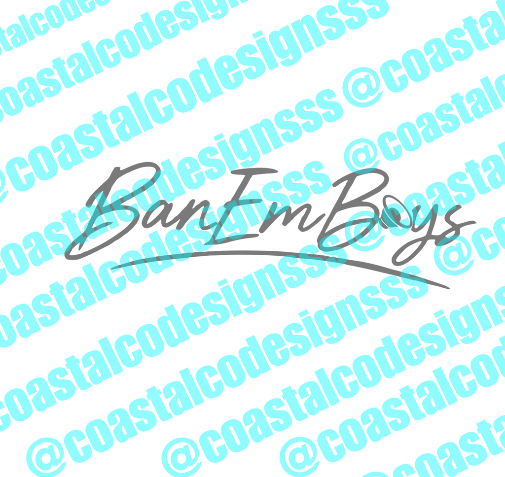 BAN EM BOYS AUDIO BANNER DECAL 2