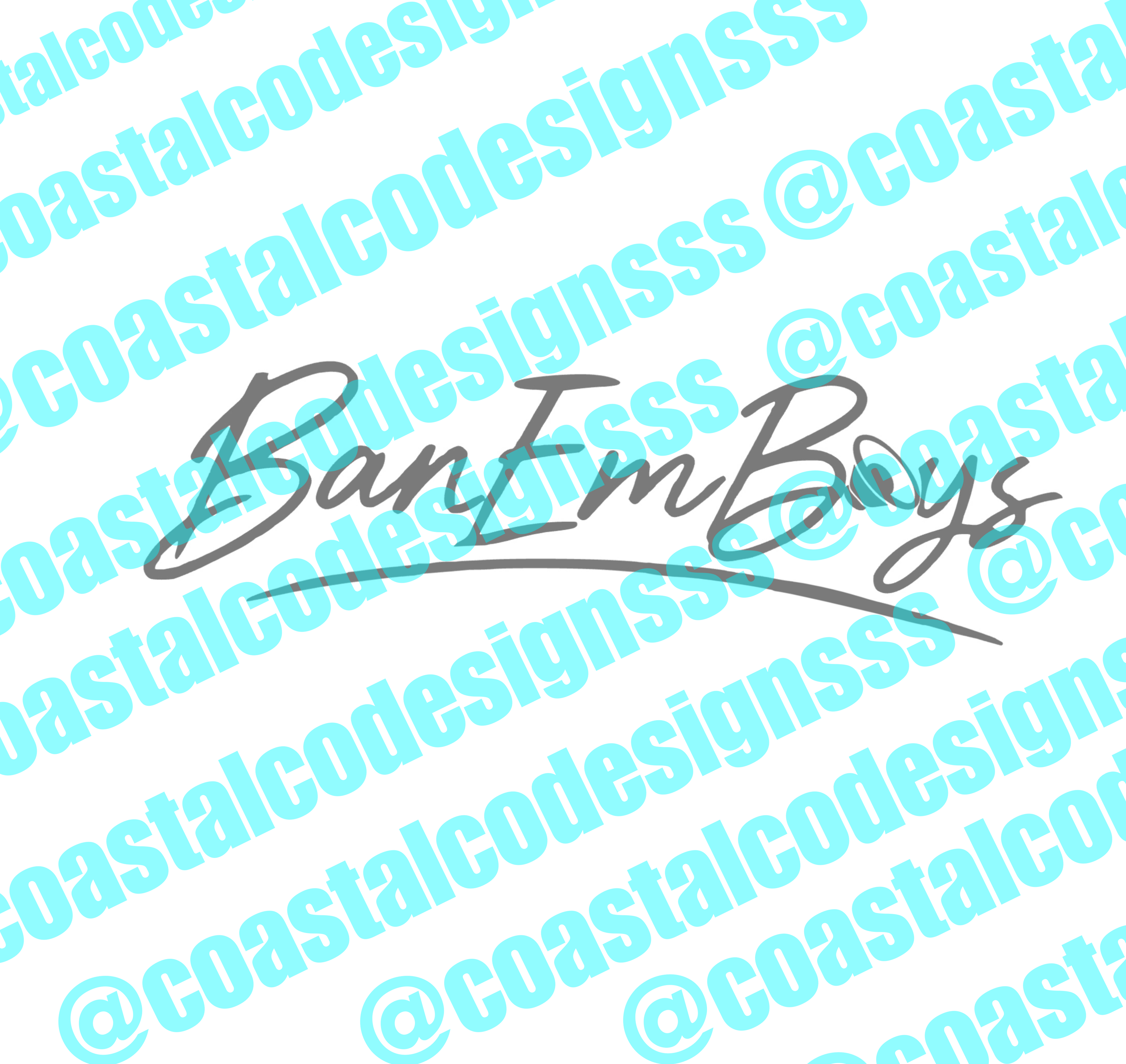 BAN EM BOYS AUDIO BANNER DECAL 2